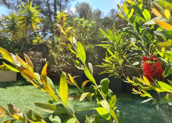 Jardin Prive Ds Le Centre De Cassis - Parking - Plage A 500M
